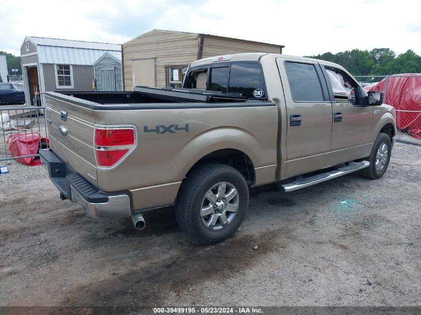 2013 FORD F-150 XLT - 1FTFW1EF1DFD47335