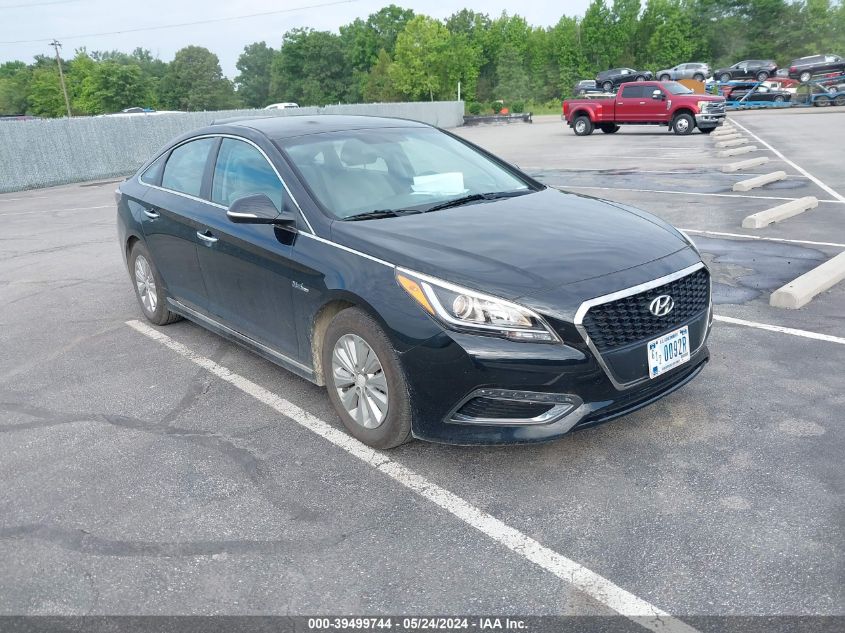 2016 Hyundai Sonata Hybrid Se VIN: KMHE24L13GA036003 Lot: 39499744