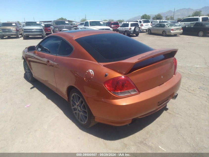 2006 Hyundai Tiburon Gt/Gt Limited/Se VIN: KMHHN65F26U210455 Lot: 39500507