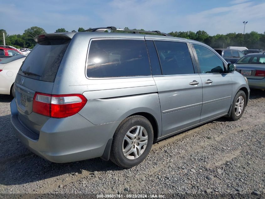 2006 Honda Odyssey Ex-L VIN: 5FNRL38606B060539 Lot: 39501761