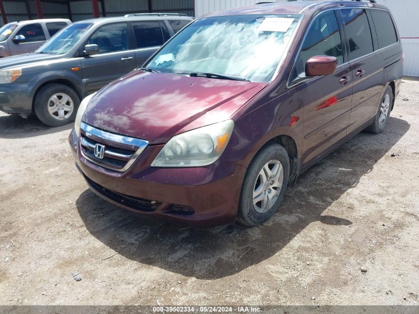 2007 Honda Odyssey Ex VIN: 5FNRL38457B020392 Lot: 39502334