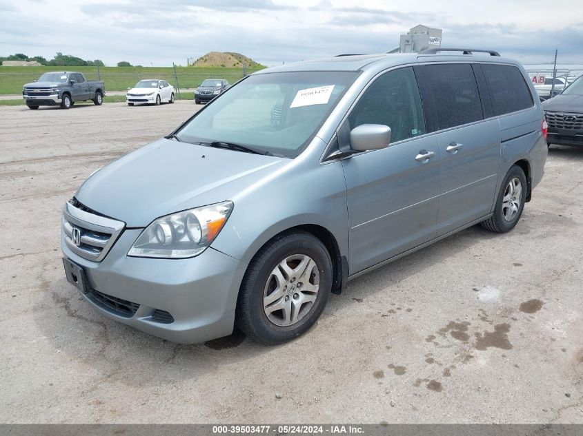 2007 Honda Odyssey Ex-L VIN: 5FNRL38787B024785 Lot: 39503477