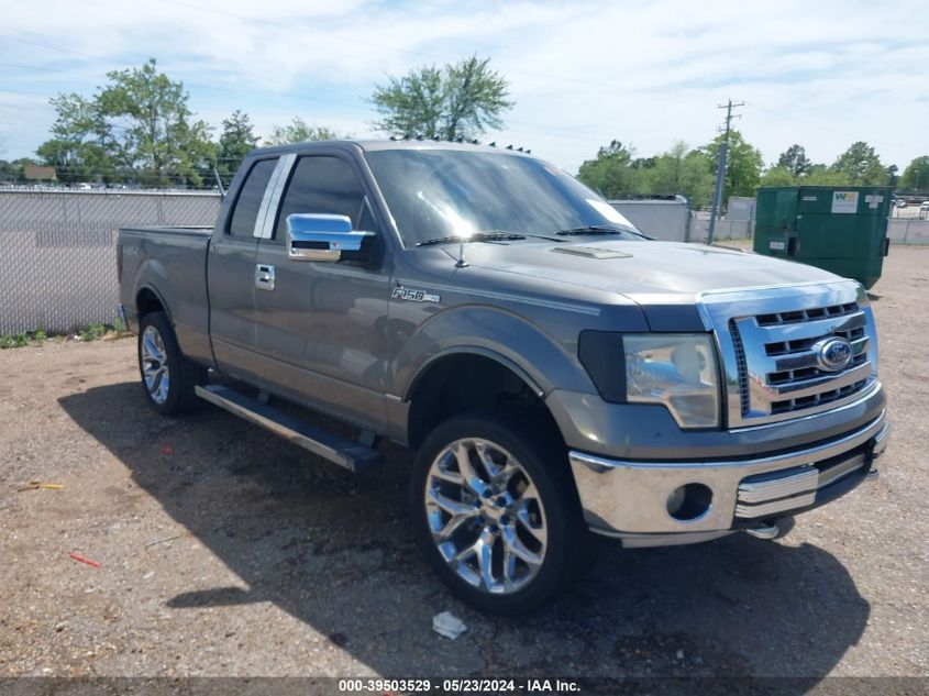 2010 Ford F-150 Stx/Xl/Xlt VIN: 1FTEX1E89AKE62553 Lot: 39503529