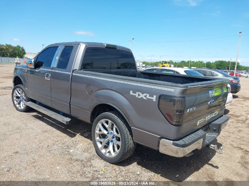 2010 Ford F-150 Stx/Xl/Xlt VIN: 1FTEX1E89AKE62553 Lot: 39503529