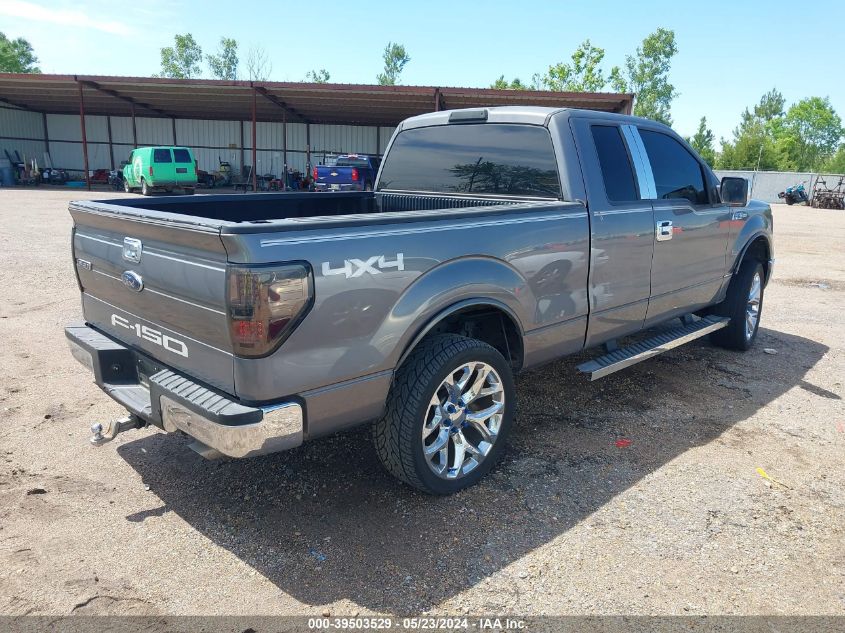 2010 Ford F-150 Stx/Xl/Xlt VIN: 1FTEX1E89AKE62553 Lot: 39503529