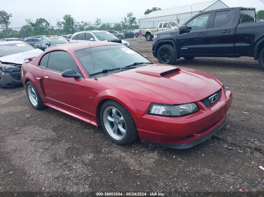 2003 Ford Mustang Gt VIN: 1FAFP42X53F403521 Lot: 39503554