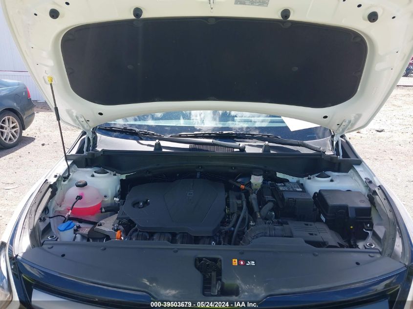 2023 Kia Sportage X-Line VIN: 5XYK6CAF4PG130525 Lot: 39503679