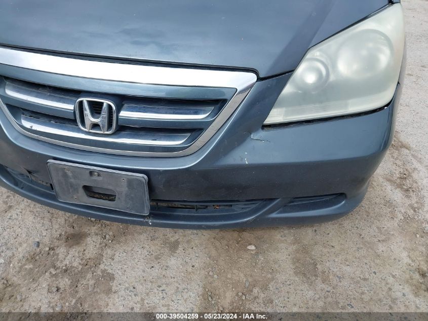 2005 Honda Odyssey Ex-L VIN: 5FNRL38775B073733 Lot: 39504259