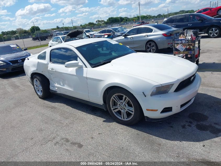 2010 Ford Mustang V6/V6 Premium VIN: 1ZVBP8AN8A5158603 Lot: 39504265