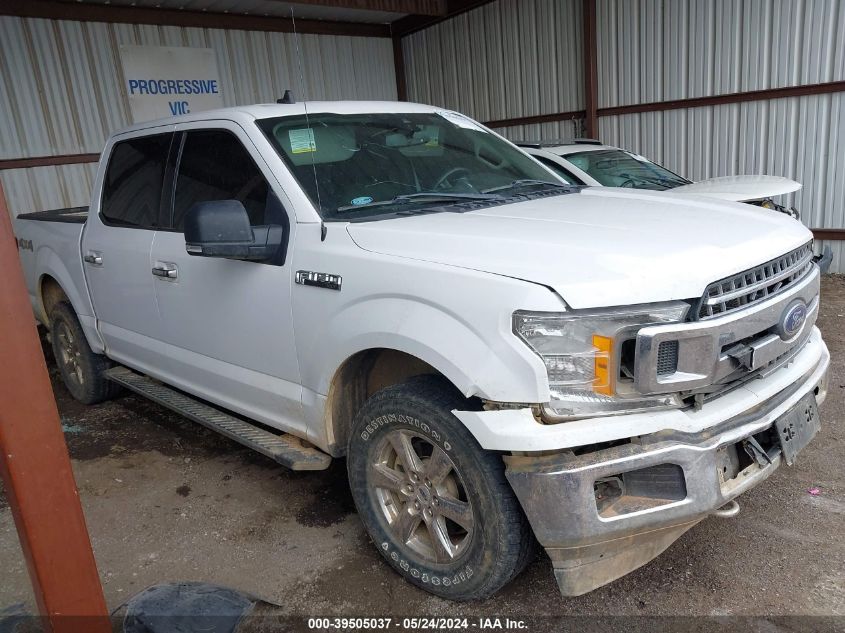 2019 FORD F-150 XLT - 1FTEW1EP3KKF26565