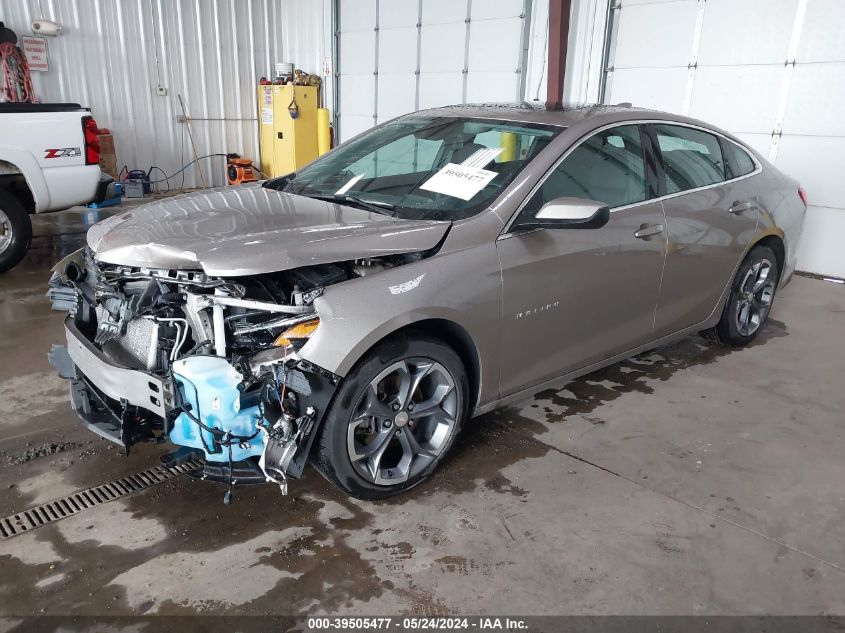 2023 Chevrolet Malibu Fwd 1Lt VIN: 1G1ZD5ST4PF213968 Lot: 39505477