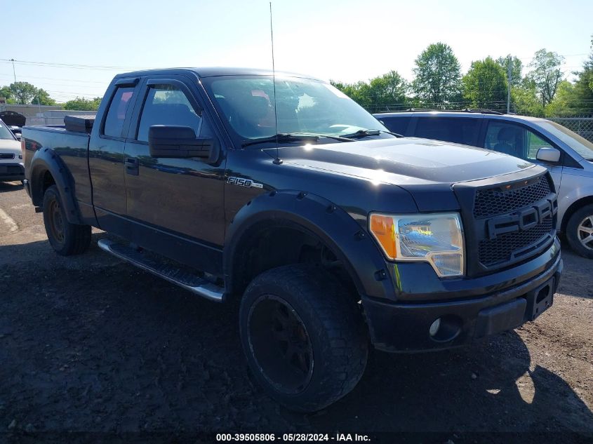 2010 Ford F-150 Stx/Xl/Xlt VIN: 1FTEX1E86AFB15349 Lot: 39505806