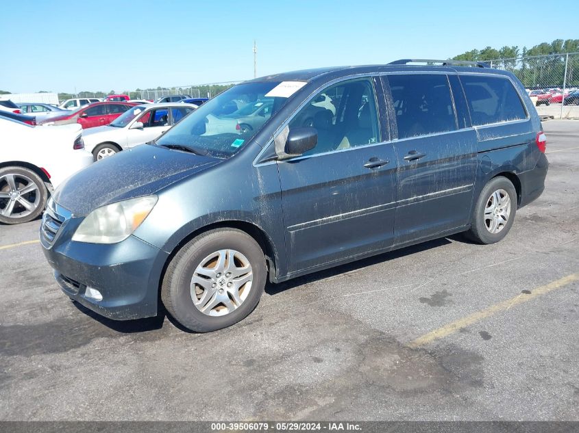 2005 Honda Odyssey Ex-L VIN: 5FNRL38765B128835 Lot: 39506079