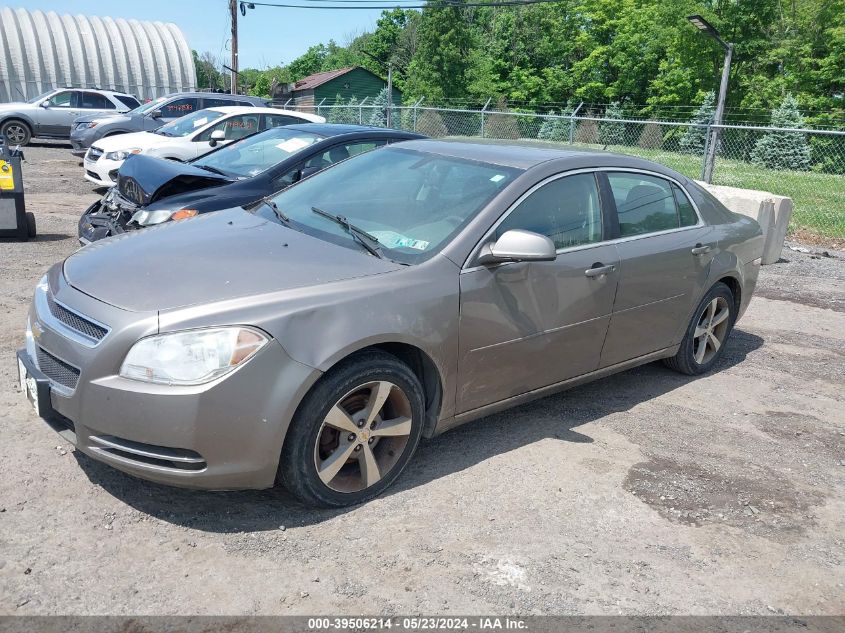 2011 Chevrolet Malibu 1Lt VIN: 1G1ZC5E15BF352996 Lot: 39506214