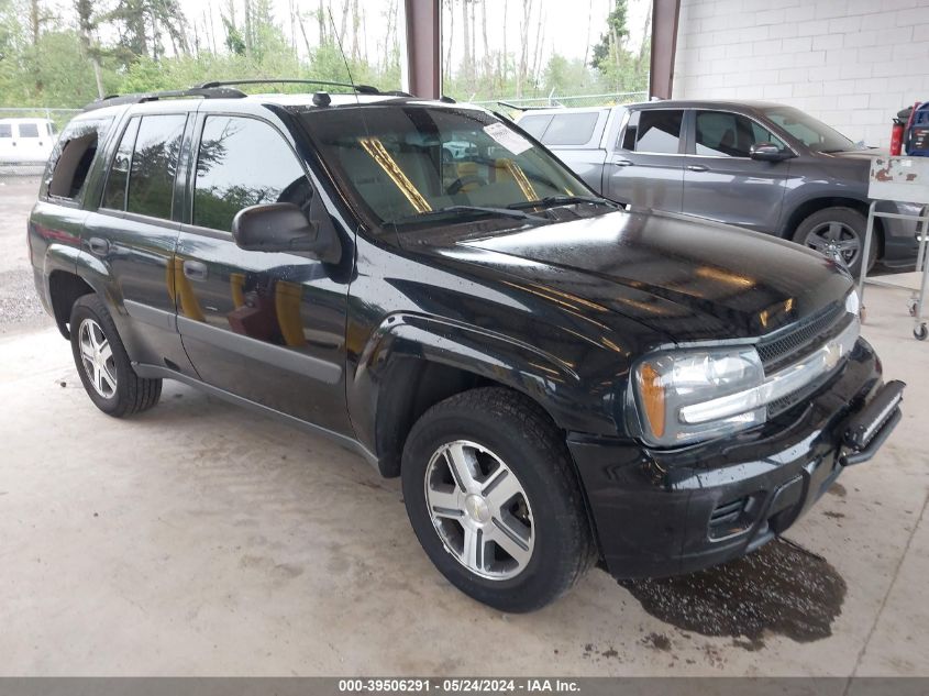 2005 Chevrolet Trailblazer Ls VIN: 1GNDT13S752343256 Lot: 39506291