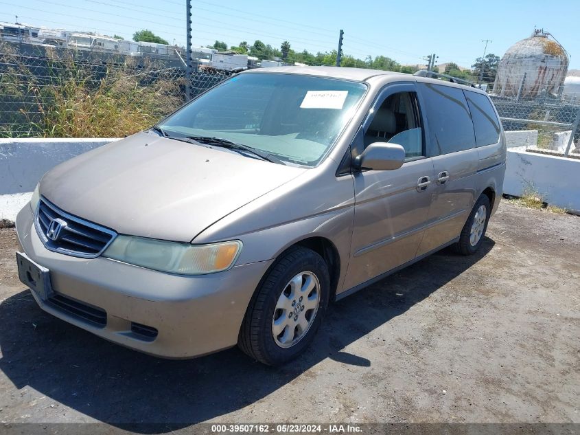 2004 Honda Odyssey Ex-L VIN: 5FNRL18064B067945 Lot: 39507162