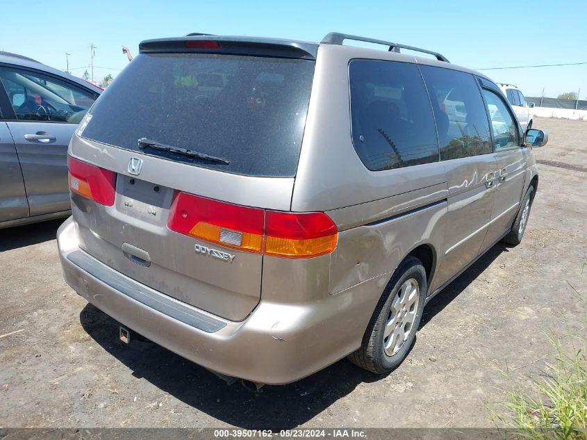 2004 Honda Odyssey Ex-L VIN: 5FNRL18064B067945 Lot: 39507162