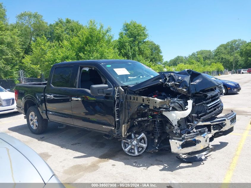 2024 Ford F-150 Xlt VIN: 1FTFW3LD7RFA27425 Lot: 39507908