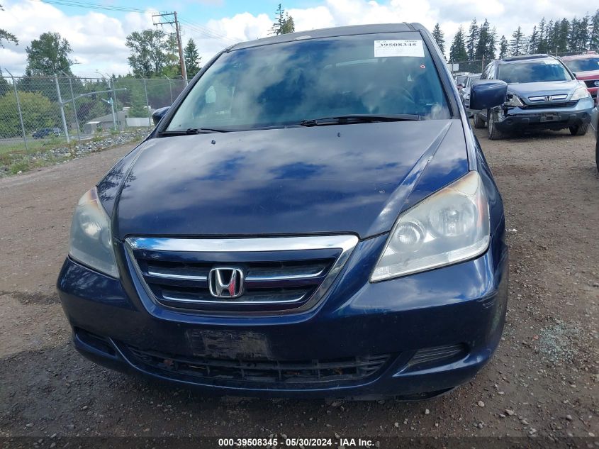 2005 Honda Odyssey Ex-L VIN: 5FNRL38795B067786 Lot: 39508345