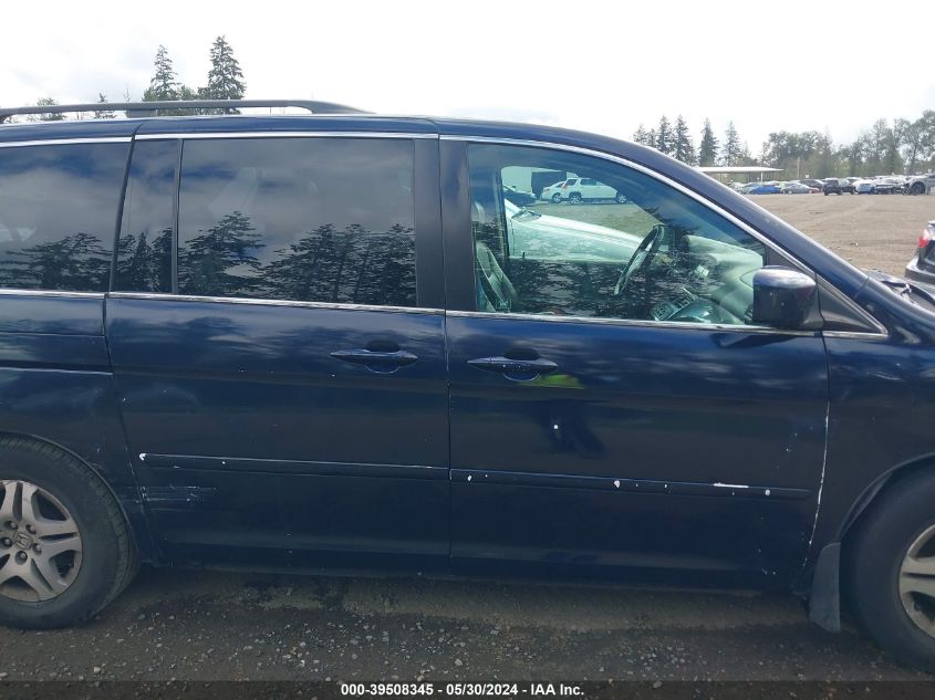 2005 Honda Odyssey Ex-L VIN: 5FNRL38795B067786 Lot: 39508345