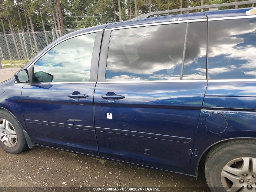 2005 Honda Odyssey Ex-L VIN: 5FNRL38795B067786 Lot: 39508345