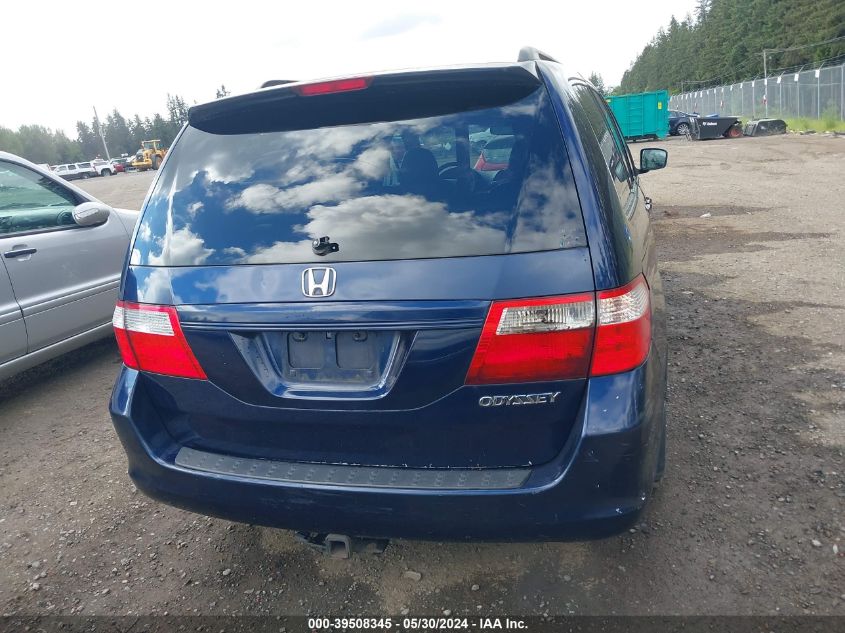 2005 Honda Odyssey Ex-L VIN: 5FNRL38795B067786 Lot: 39508345