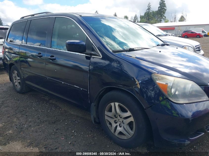 2005 Honda Odyssey Ex-L VIN: 5FNRL38795B067786 Lot: 39508345