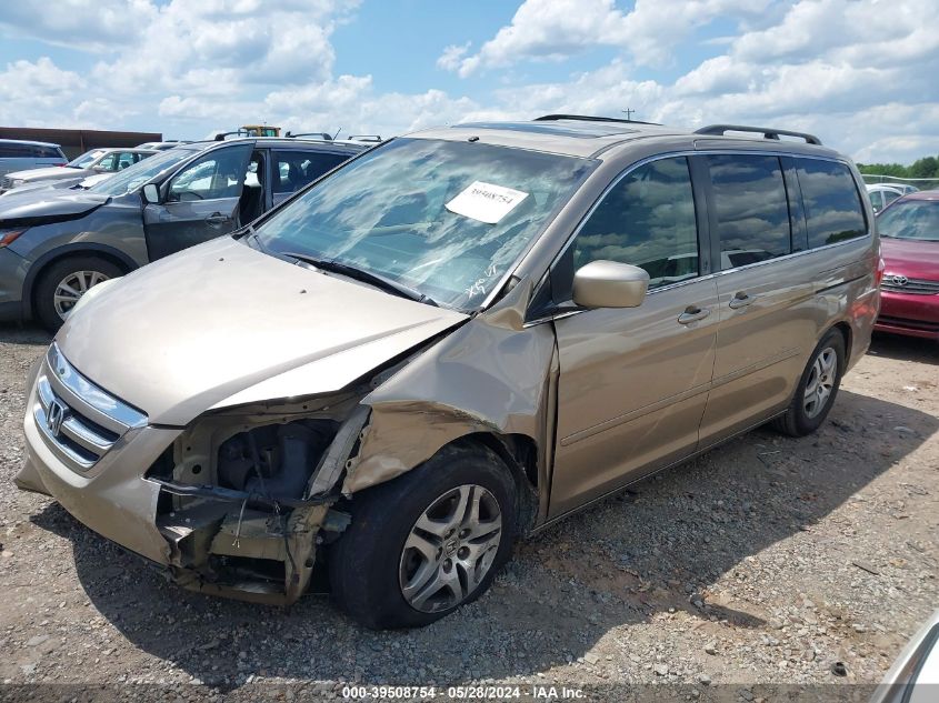 2006 Honda Odyssey Ex-L VIN: 5FNRL387X6B414205 Lot: 39508754