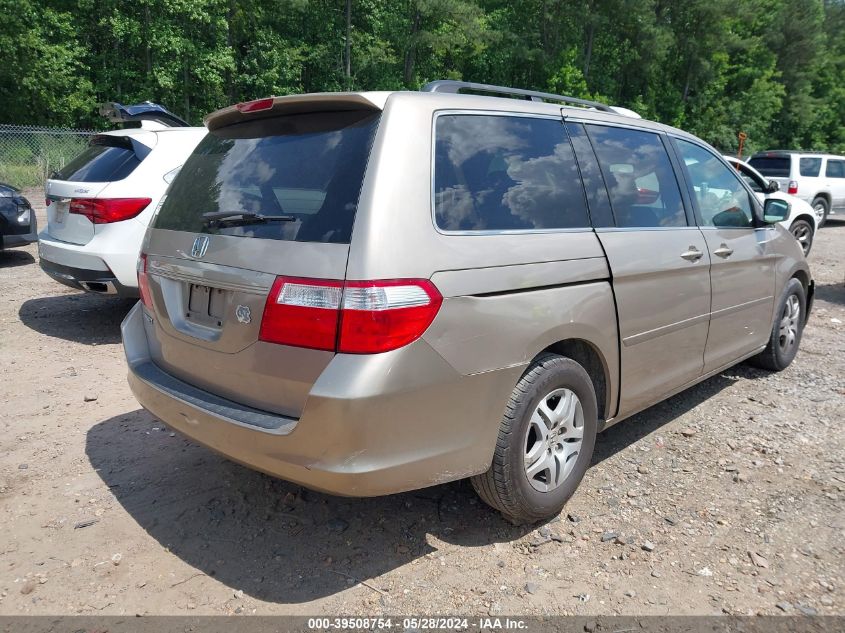 2006 Honda Odyssey Ex-L VIN: 5FNRL387X6B414205 Lot: 39508754