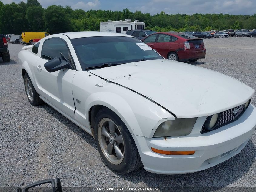 2006 Ford Mustang Gt VIN: 1ZVFT82H865113108 Lot: 39509062