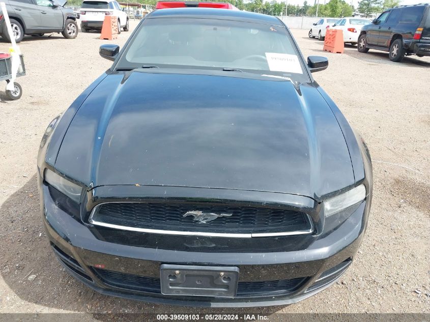 2013 FORD MUSTANG V6 - 1ZVBP8AM1D5252236