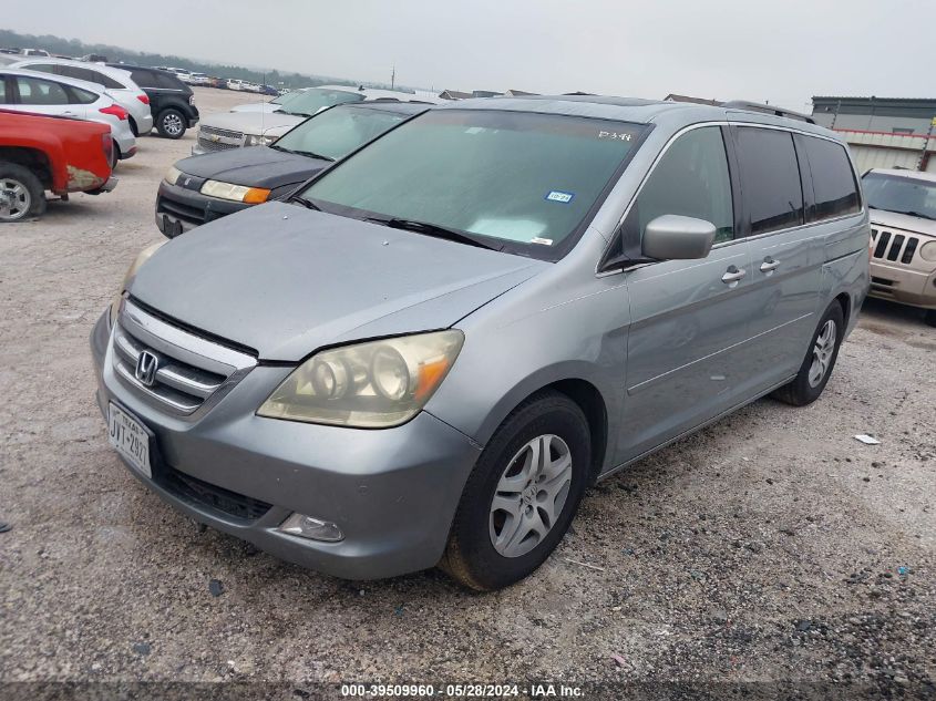 2005 Honda Odyssey Touring VIN: 5FNRL38885B000394 Lot: 39509960