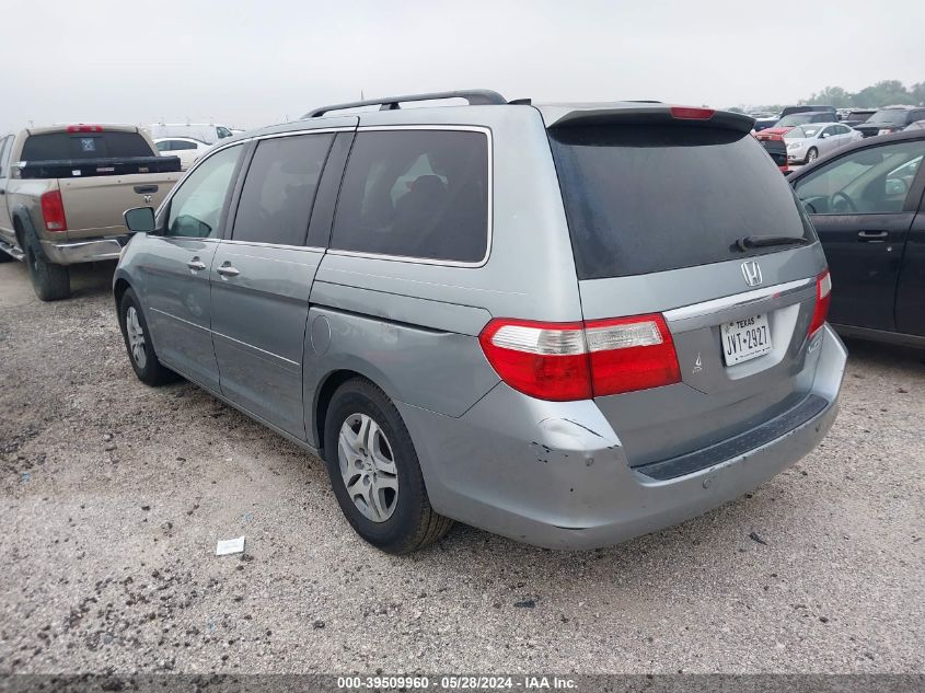 2005 Honda Odyssey Touring VIN: 5FNRL38885B000394 Lot: 39509960