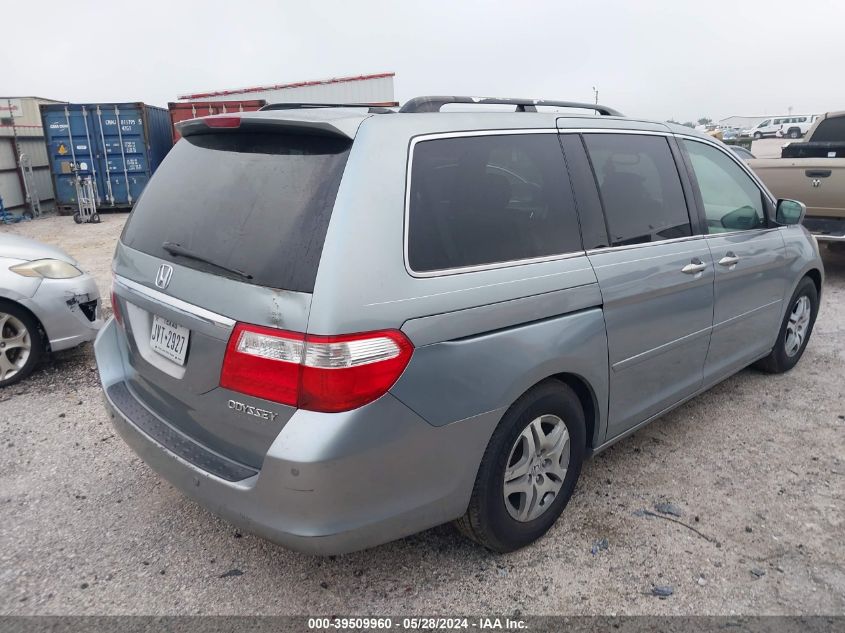 2005 Honda Odyssey Touring VIN: 5FNRL38885B000394 Lot: 39509960