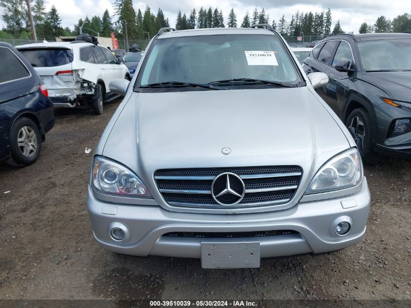 2002 Mercedes-Benz Ml 500 VIN: 4JGAB75E22A371181 Lot: 39510039