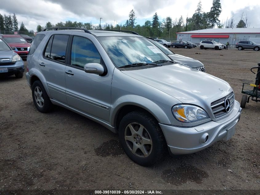 2002 Mercedes-Benz Ml 500 VIN: 4JGAB75E22A371181 Lot: 39510039