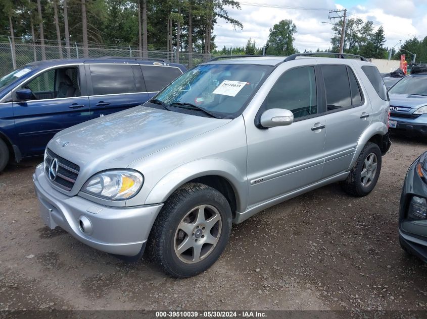 2002 Mercedes-Benz Ml 500 VIN: 4JGAB75E22A371181 Lot: 39510039