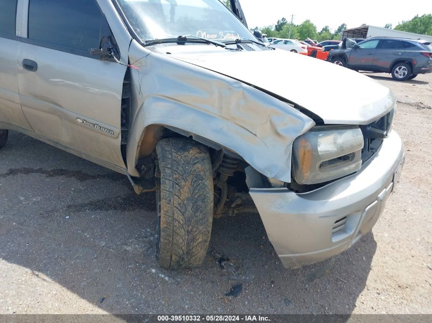 2002 Chevrolet Trailblazer Ls VIN: 1GNDS13S022518039 Lot: 39510332