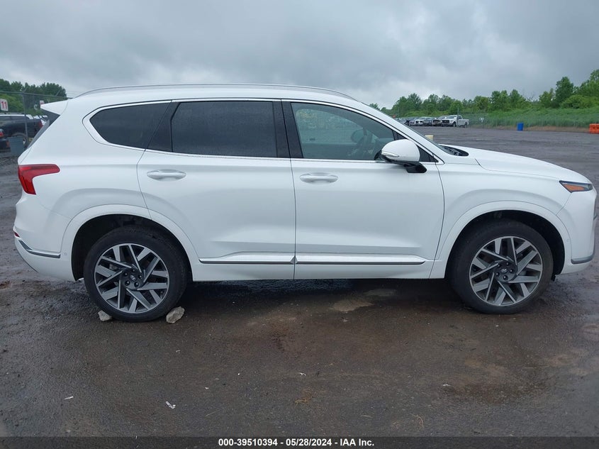2023 Hyundai Santa Fe Calligraphy VIN: 5NMS5DAL6PH640931 Lot: 39510394