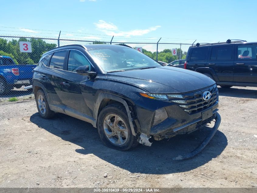 2024 Hyundai Tucson Sel VIN: 5NMJBCDE5RH315668 Lot: 39510439