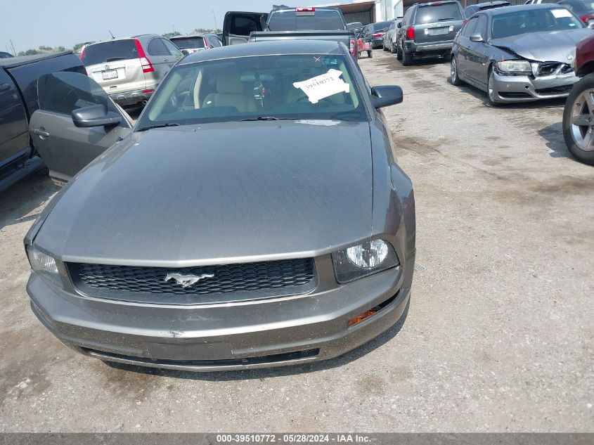 2005 Ford Mustang V6 Deluxe/V6 Premium VIN: 1ZVFT80N255128064 Lot: 39510772