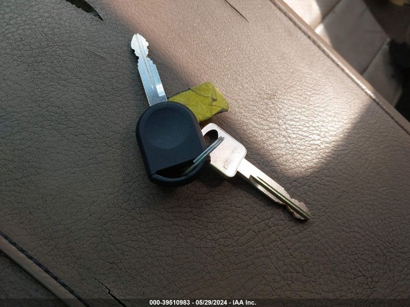 2003 Ford Expedition Eddie Bauer VIN: 1FMFU17L13LB99995 Lot: 39510983