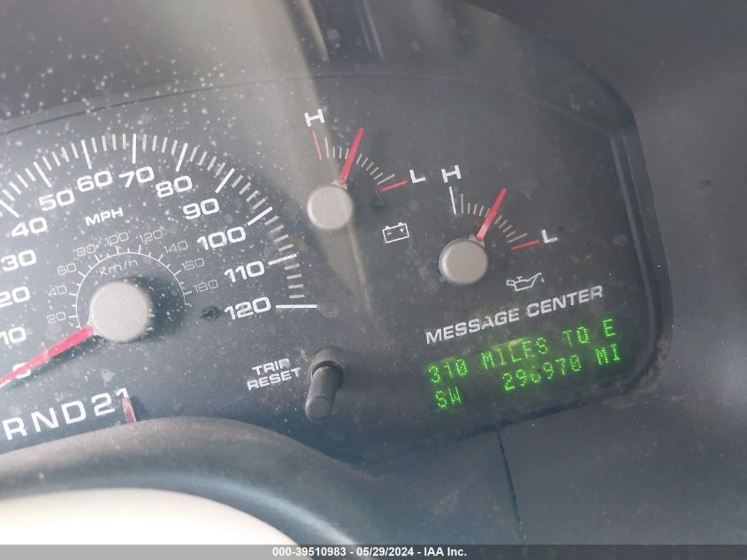 2003 Ford Expedition Eddie Bauer VIN: 1FMFU17L13LB99995 Lot: 39510983