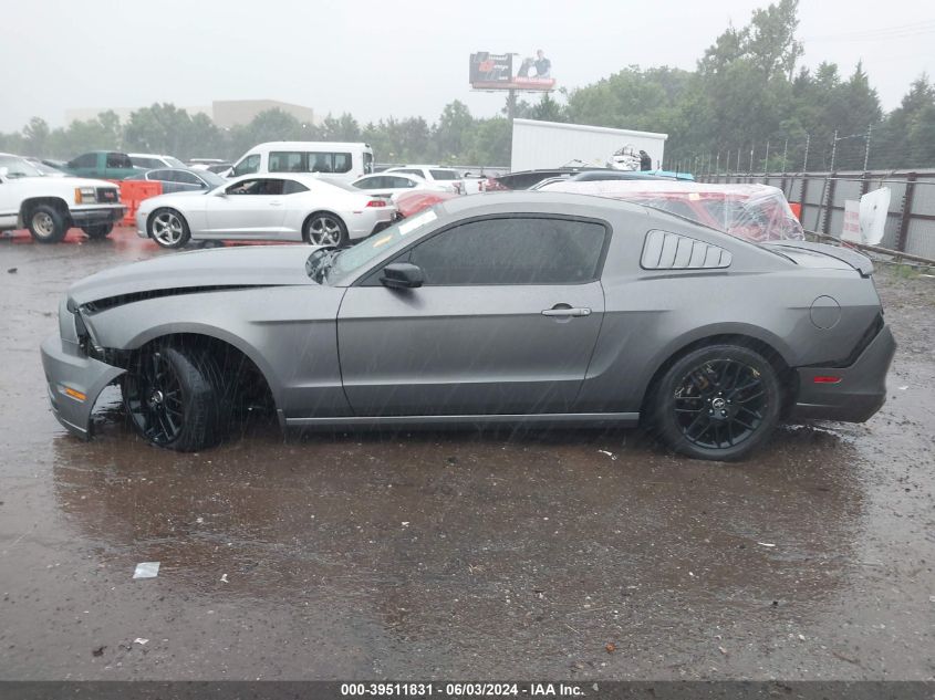 2014 FORD MUSTANG V6 - 1ZVBP8AM8E5228789