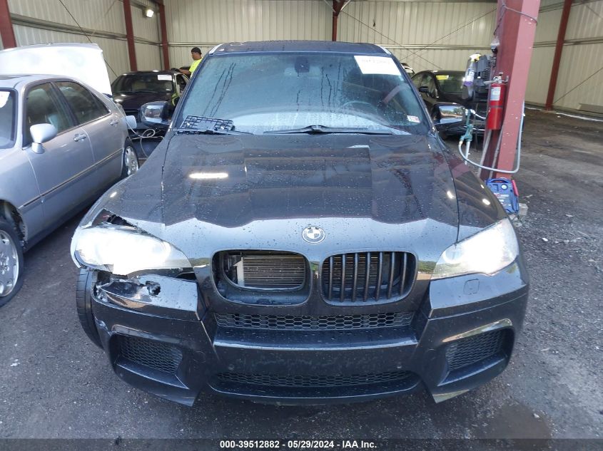 2010 BMW X5 M VIN: 5YMGY0C50ALK25668 Lot: 39512882