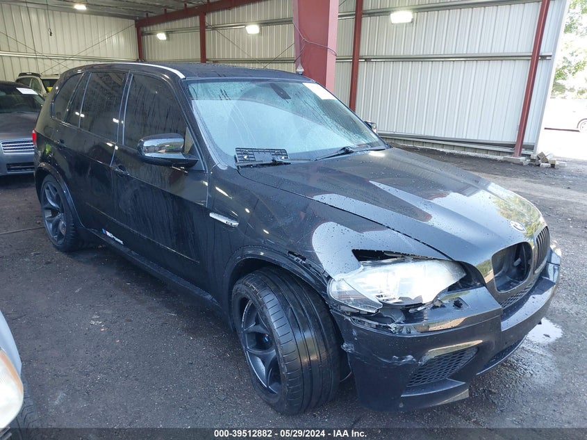 2010 BMW X5 M VIN: 5YMGY0C50ALK25668 Lot: 39512882