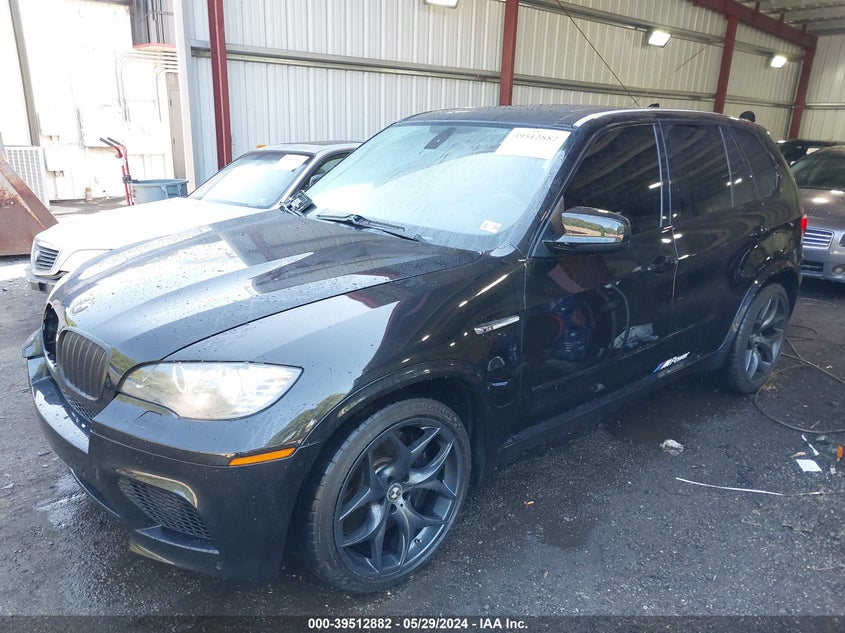 2010 BMW X5 M VIN: 5YMGY0C50ALK25668 Lot: 39512882