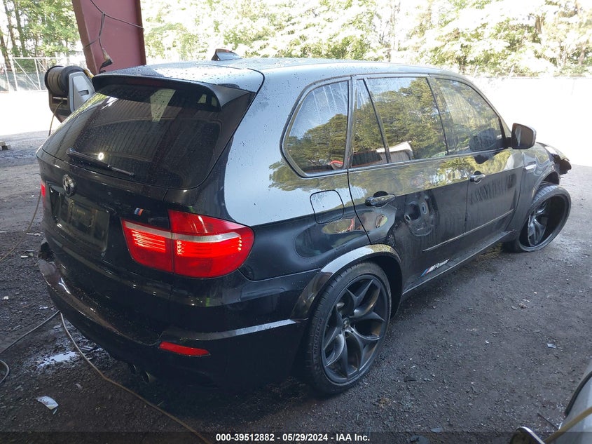 2010 BMW X5 M VIN: 5YMGY0C50ALK25668 Lot: 39512882