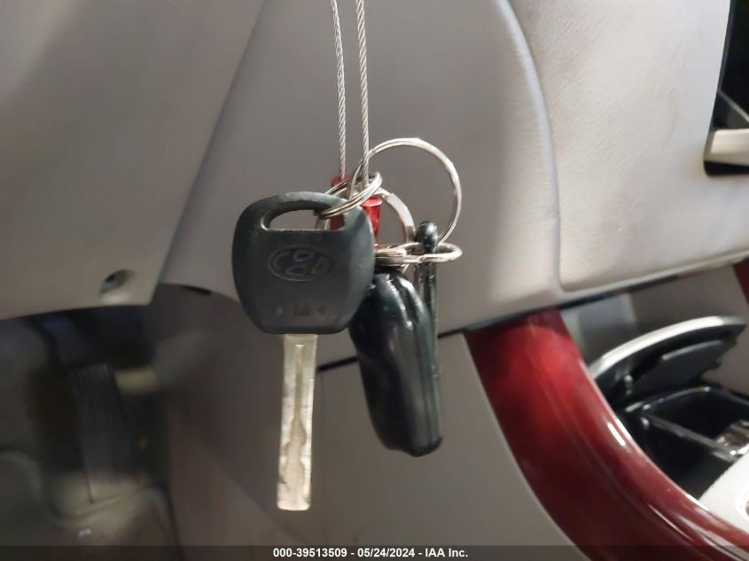 2006 Hyundai Azera Limited/Se VIN: KMHFC46F56A099126 Lot: 39513509