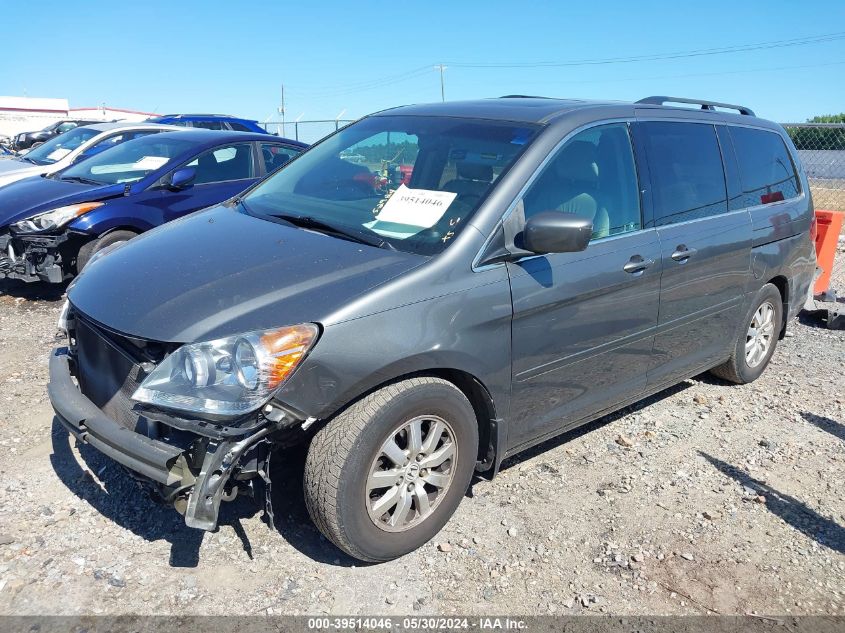 2008 Honda Odyssey Ex-L VIN: 5FNRL387X8B088716 Lot: 39514046